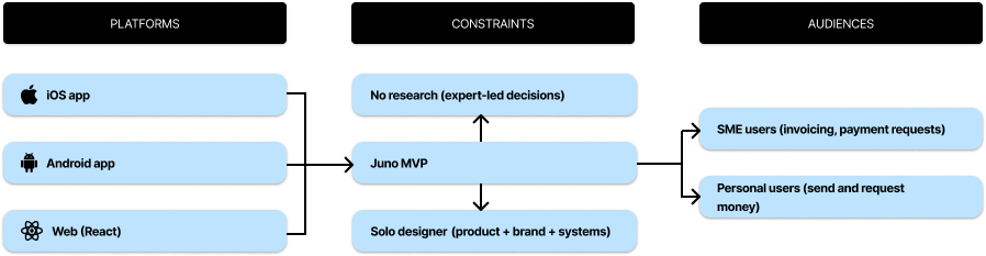 Diagram of platforms, constraints and audiences